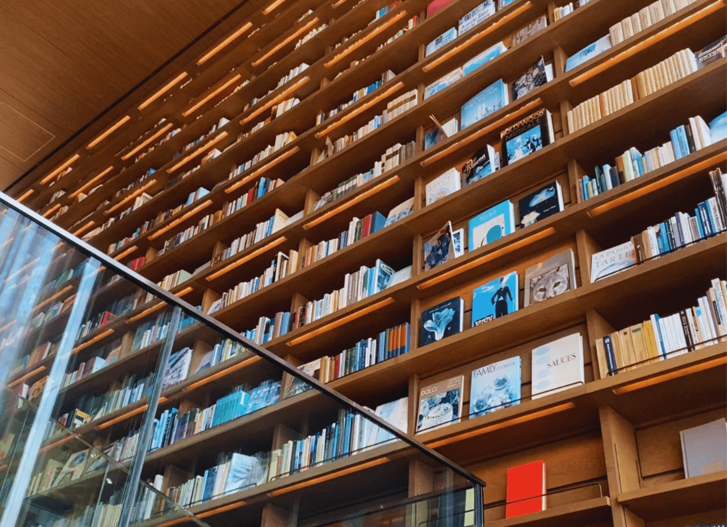 Hirakata T-SITE, a huge bookshelf covering one side