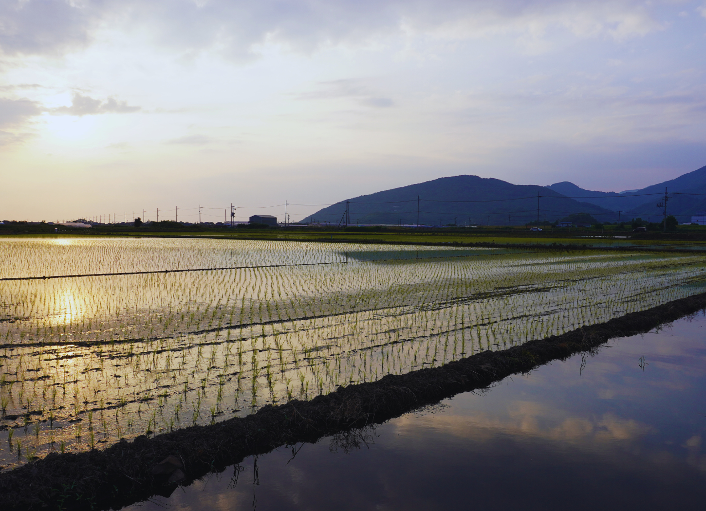 【編集部より】5月に届いた読者さんからのお便り：まちの風景と私の気持ち