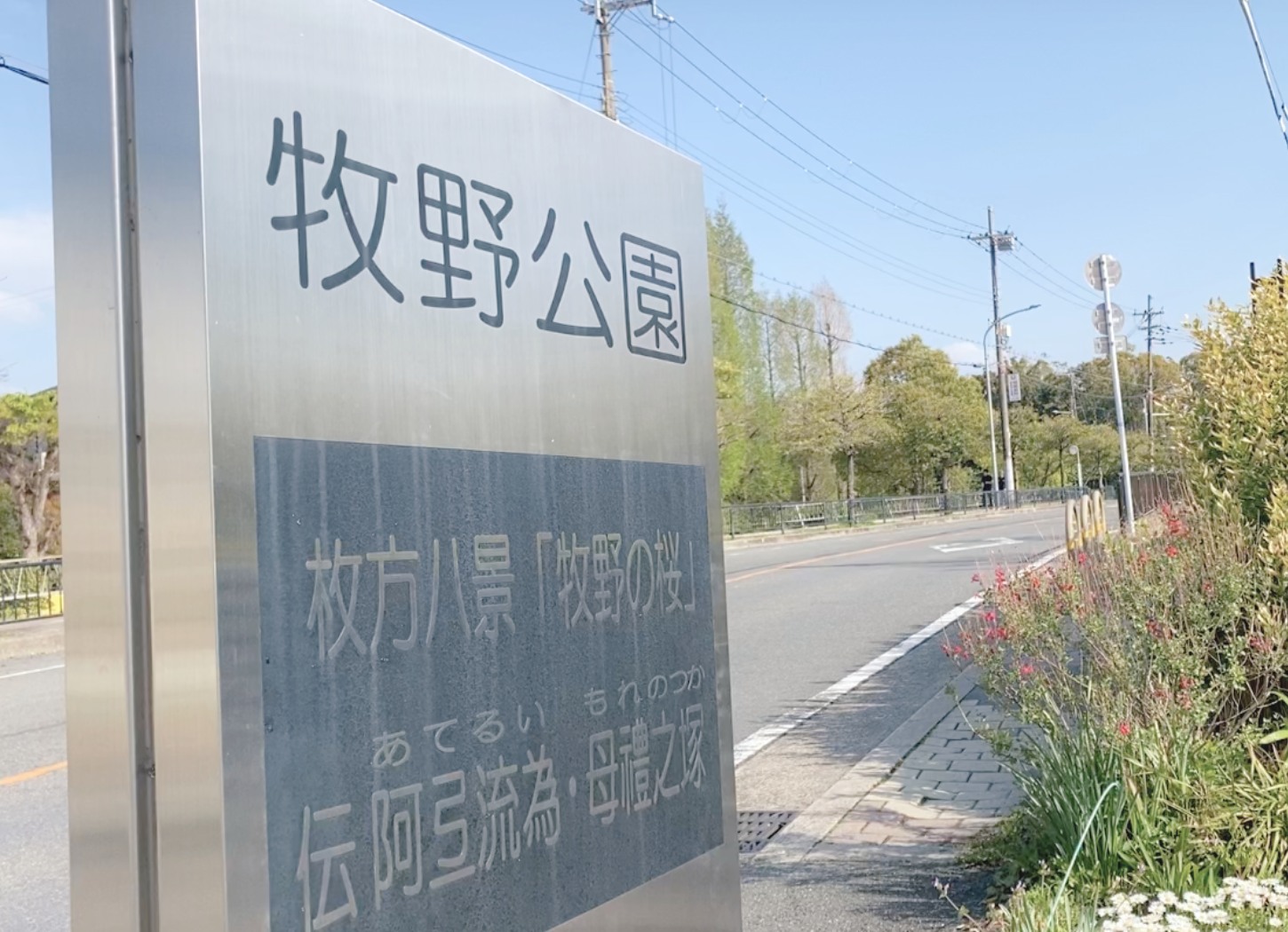 枚方市・牧野公園の看板。『枚方八景「牧野の桜」』『伝 アテレイ モレ 之塚』と記されている。背後には車道と青空が広がる。