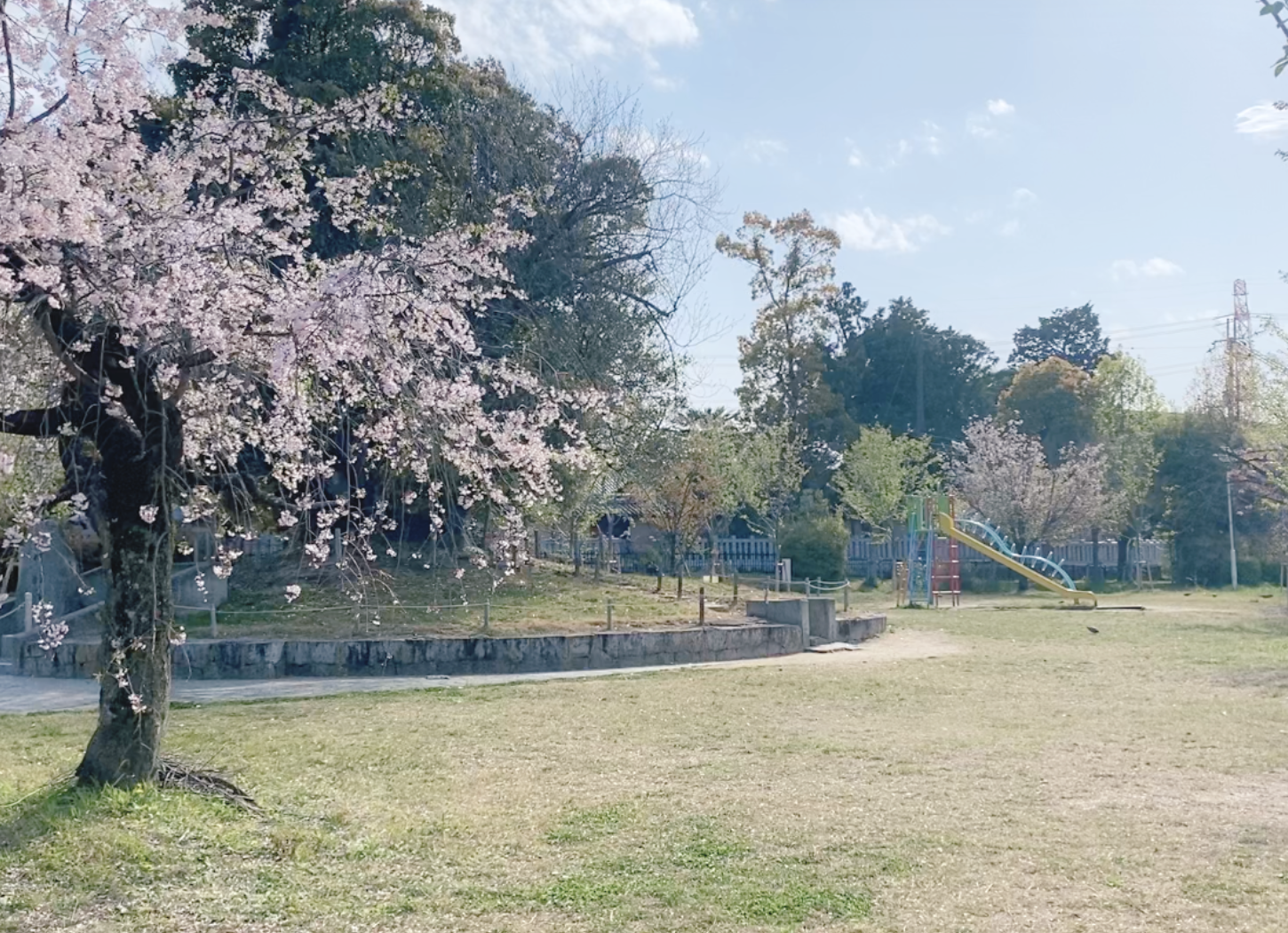 枚方市・牧野公園入り口付近から撮影。手前に桜の花が咲き、中央に塚があり、その奥にカラフルな遊具が見える景色。