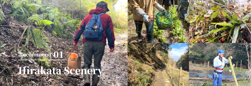 枚方市穂谷の里山で自然の中を歩く人と風景のコラージュ画像