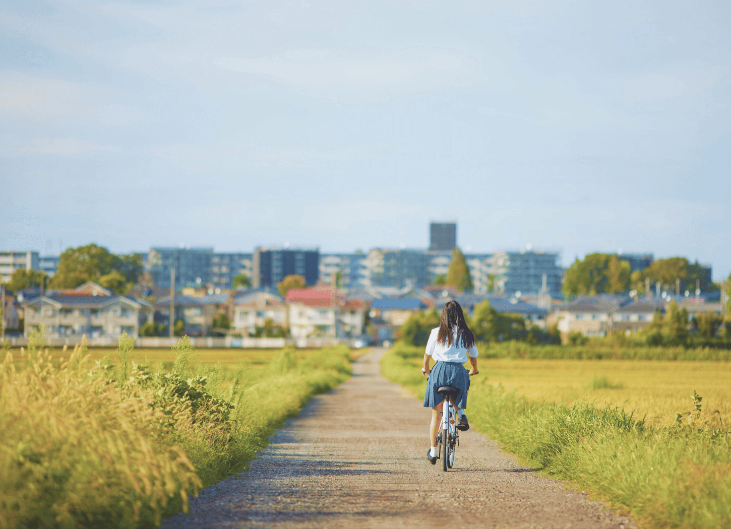 堤防を自転車で走る女子学生の後ろ姿。奥に住宅街が見える。