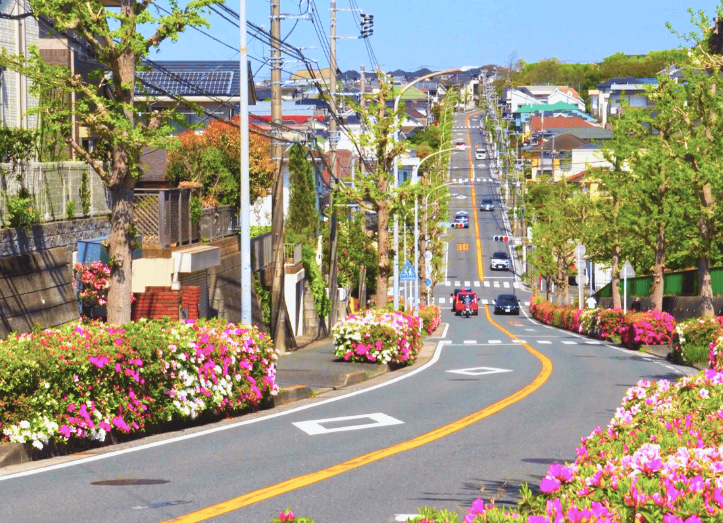 住宅街の道路が坂道になって奥まで伸び、車が走る様子。両側には花や木が植えられた歩道と民家が見える風景。