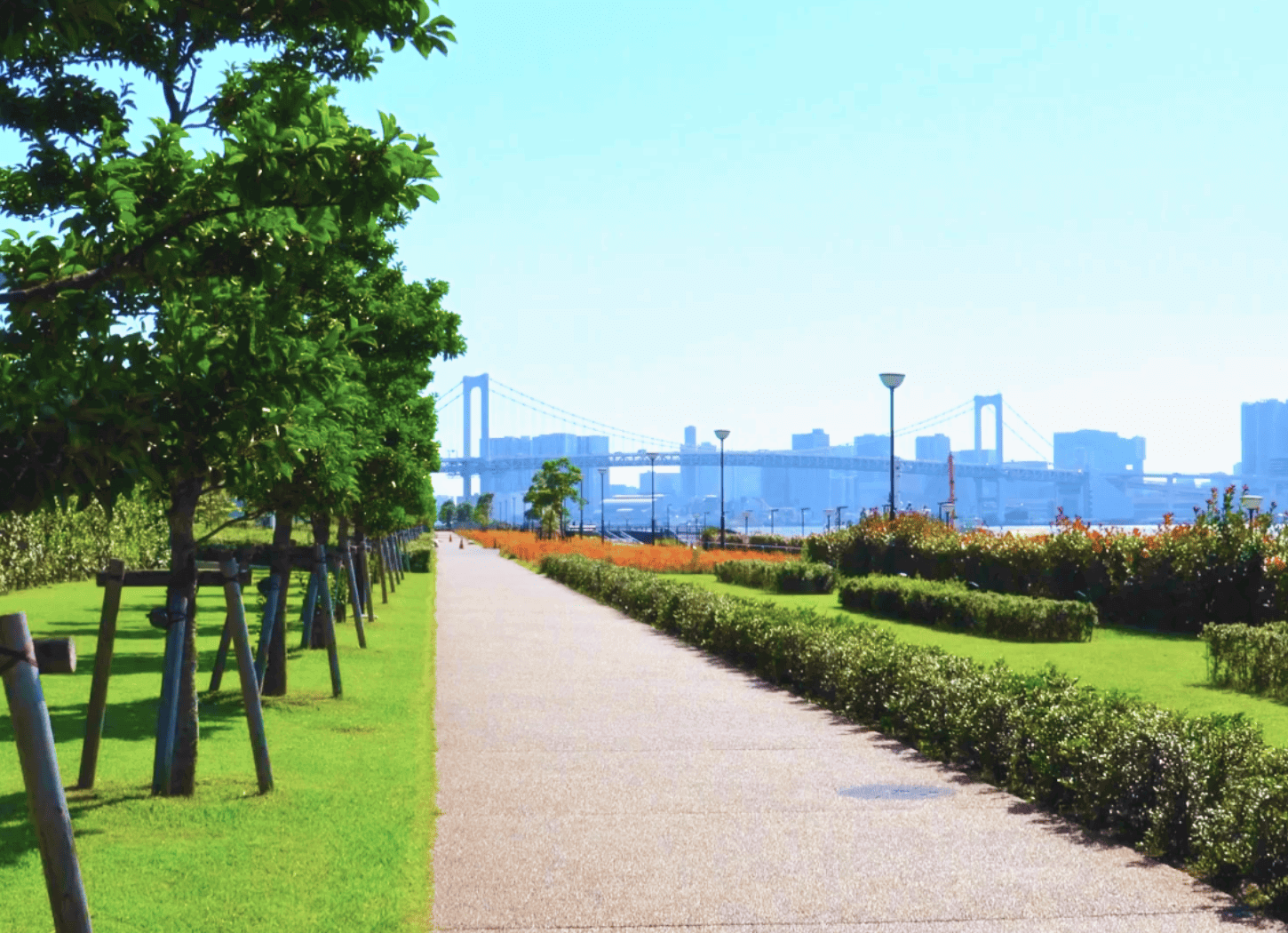 川の左手にまっすぐ伸びる歩道があり、木が等間隔で並ぶ。奥には川を渡る大きな橋と青空が見える風景。