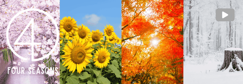春の桜と小川、夏のひまわりと青空、秋の紅葉、冬の雪と切り株が並ぶ四季のイメージ。クリックするとバックナンバー一覧ページが開く