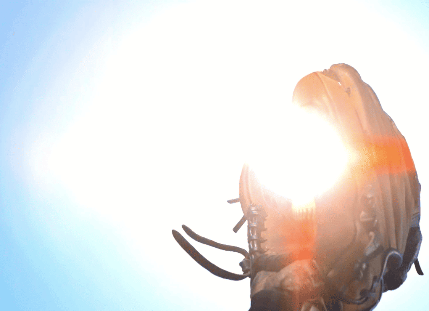 青空の下、太陽の光で反射するグローブのアップ。ボールを受け取ろうとする瞬間を捉え、Nちゃんの元気で明るい青春のイメージを象徴する。