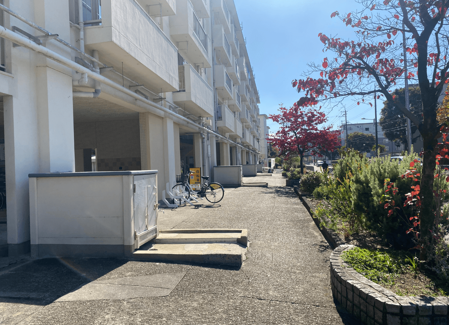大きな道路に面した中宮第3団地の一階部分。街路樹が植えられ、青空が広がる