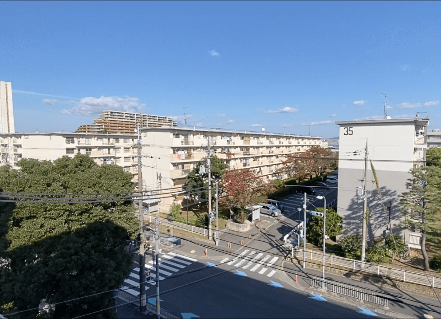 向かいの建物から撮影した中宮第3団地の全景。広い道路と街路樹の間に団地の建物が等間隔で並び、青空が広がる様子