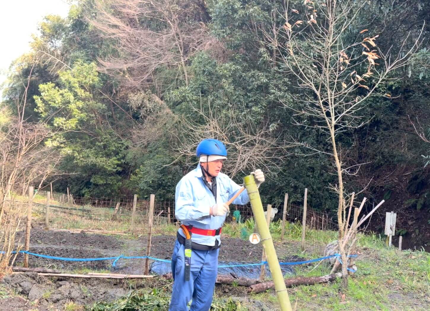 穂谷の里山で、切り出した竹を手に作業する会員の姿