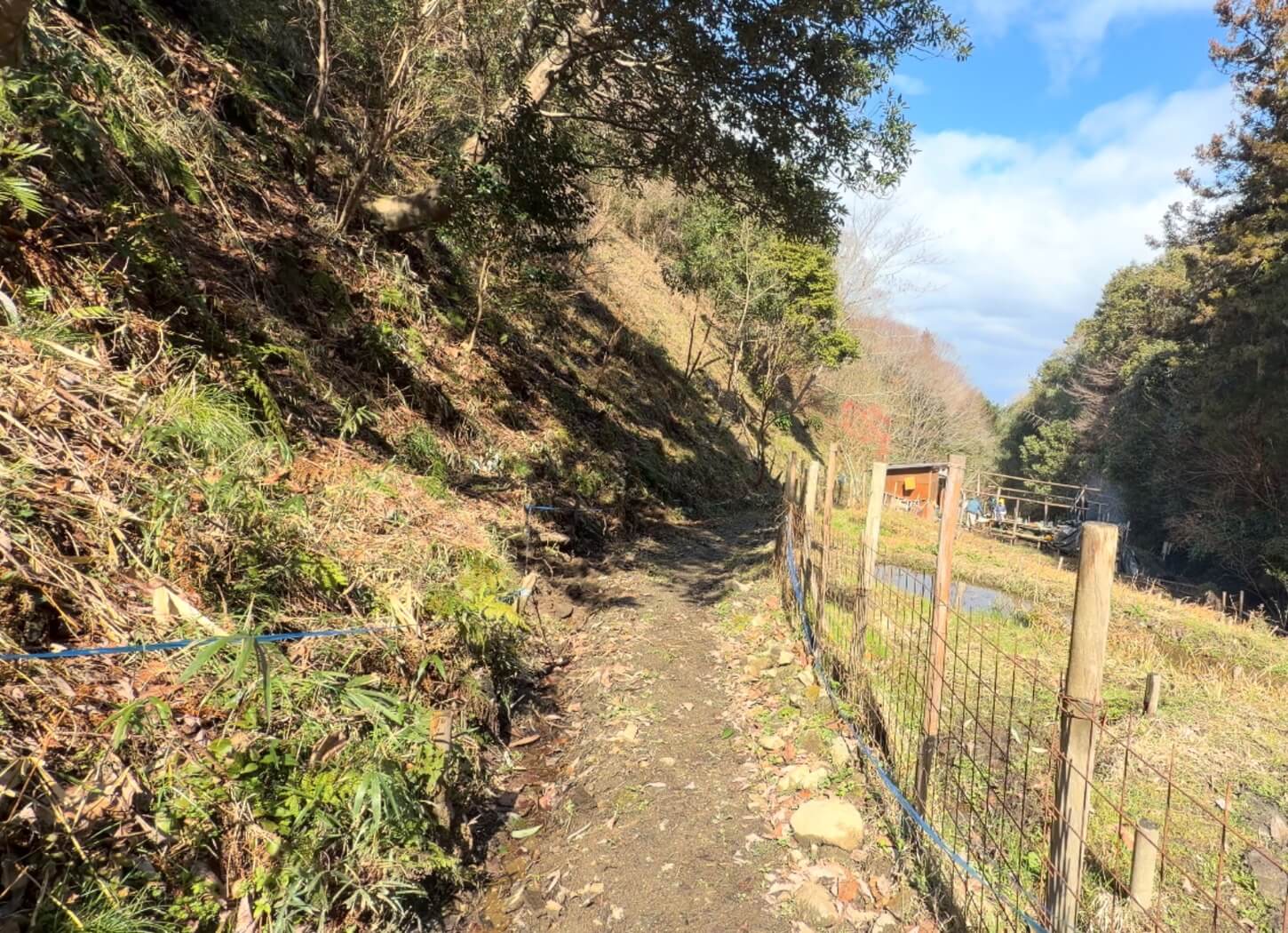 穂谷の里山で、ビオトープ沿いに続く小道と奥に見える小屋