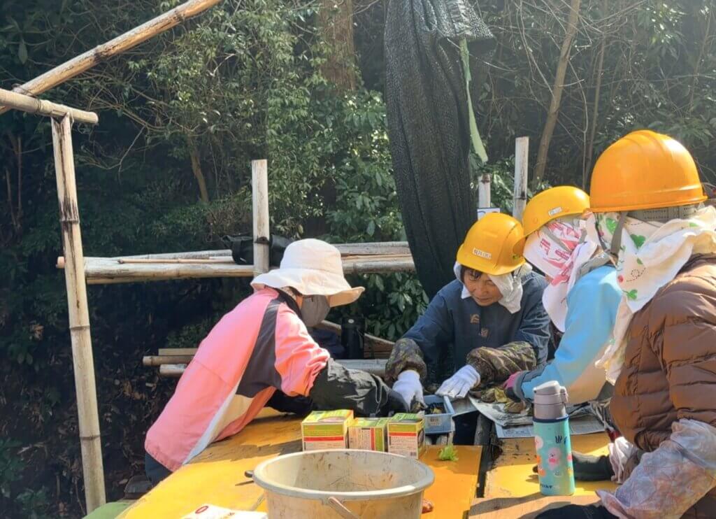 穂谷の里山で、じゃがいもを植える準備を進める女性会員たち